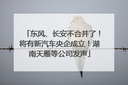东风、长安不合并了！将有新汽车央企成立！湖南天雁等公司发声